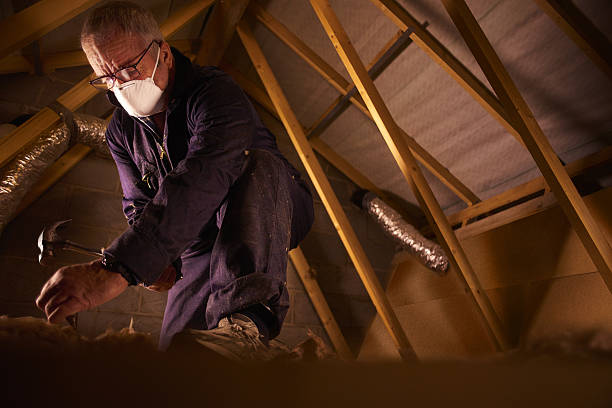 Professional Insulation Contractor in Lake Of The Woods, AZ